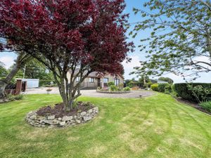 Photo 7- click for photo gallery